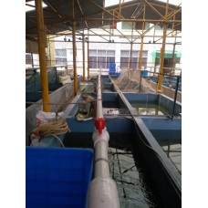 Recirculating Aquaculture System