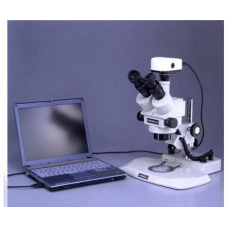 Stereo Microscopes