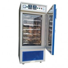 Seed Germinator