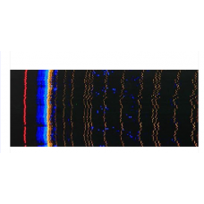 Microsatellite Selection And Analysis