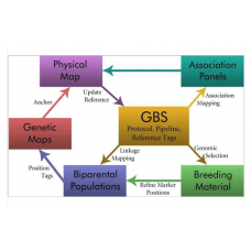 RAD Sequencing