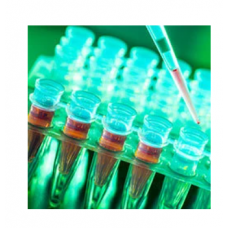RNA Sequencing