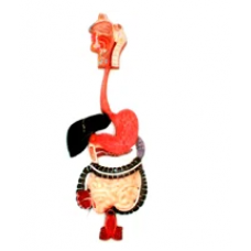 Human Digestive System