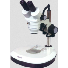  Stereo Microscope