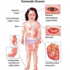 Biology Lab Chart