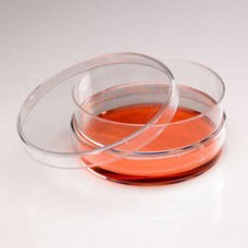 Tissue Culture Dishes