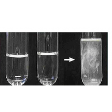 Reaction Displacement