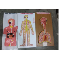 Laboratory Equipment