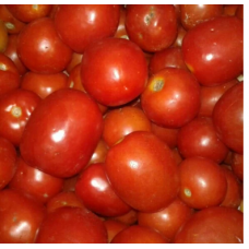 Tomato