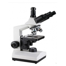 Trinocular Microscopes