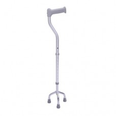 Walking Stick