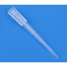 White Tips Gilson Type, D.R-Free